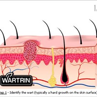 Портфолио ROBERT DAVID